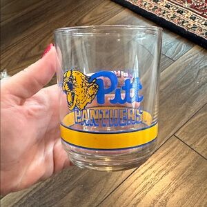 Pitt Panthers glass